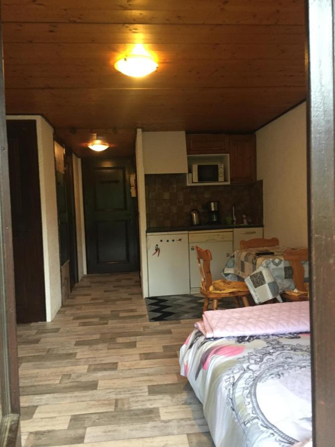 Studio Rue De Jardin Appartamento Saint-Gervais-les-Bains Esterno foto