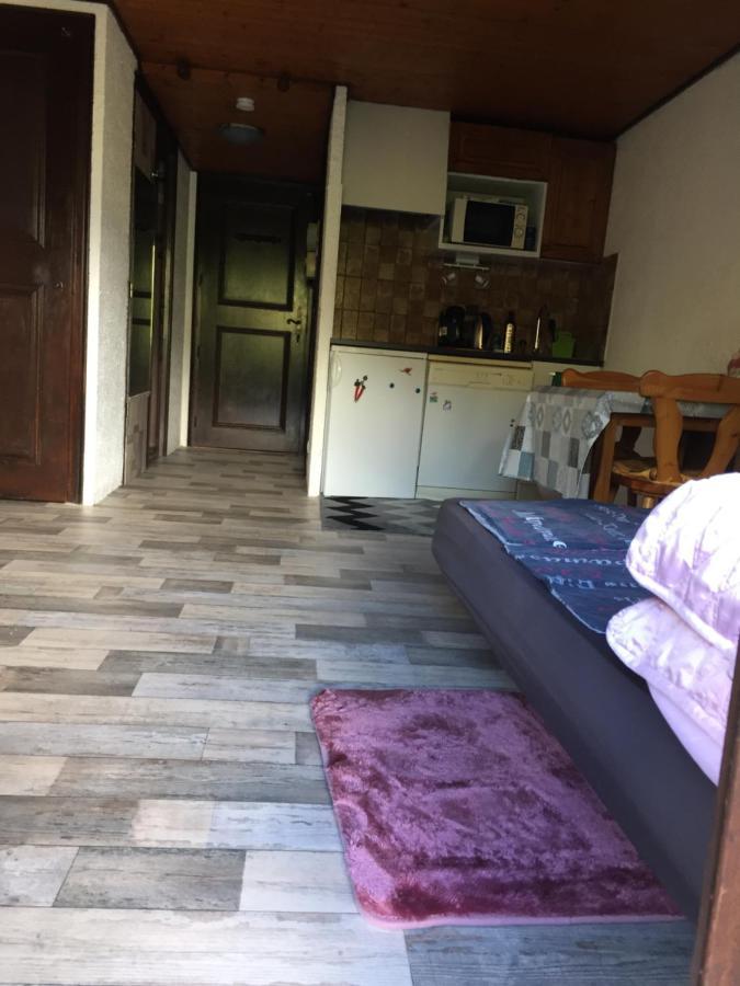 Studio Rue De Jardin Appartamento Saint-Gervais-les-Bains Esterno foto
